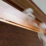 sites/2/2020/10/8538ed4f275357aa4aa3bd2be5cdaa34-300x200-0045-150x150.jpgの画像