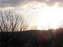 sites/2/2020/11/161a41d78de7e1f51501ab8153c739f7.jpgの画像