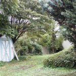 sites/2/2020/11/16323e0c6ff504e498cee210d190255b-150x150.jpgの画像