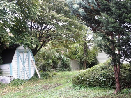 sites/2/2020/11/16323e0c6ff504e498cee210d190255b.jpgの画像