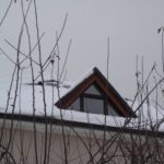 sites/2/2020/11/1e2211ad539b30831771586278b1e3eb-150x150.jpgの画像