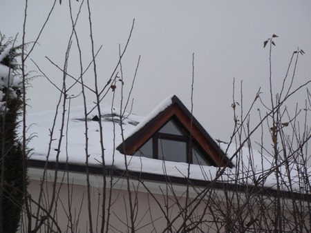 sites/2/2020/11/1e2211ad539b30831771586278b1e3eb.jpgの画像
