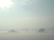 sites/2/2020/11/20372e3bd28342614297e1e548ca1064.jpgの画像
