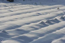 sites/2/2020/11/2091d76967f4af7b076f5891e5e96b4a.jpgの画像