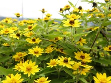 sites/2/2020/11/28df59a54ee0bb0d481d155c4e42d786.jpgの画像