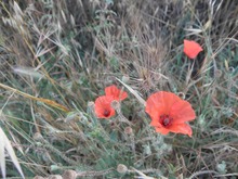 sites/2/2020/11/2cc59349b1117478e9164b5c73783335.jpgの画像