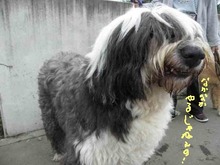 sites/2/2020/11/3ba2972bf5e5472290d397036cf0fc04.jpgの画像
