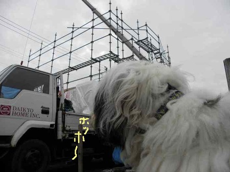 sites/2/2020/11/3cfa1d98800fd57bad6bc09231fbddd6.jpgの画像