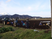 sites/2/2020/11/442a6b92bdadce0467573aeb049d7da6.jpgの画像