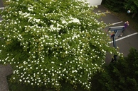 sites/2/2020/11/4508285d35f580cdaa3093116dcb2ad8.jpgの画像