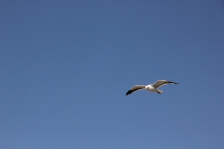 sites/2/2020/11/4c4f2bea368b267a44cae23b666af999.jpgの画像