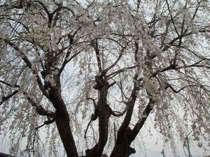 sites/2/2020/11/57c961d3a2d849ff14df1f62c7dd6024.jpgの画像