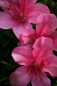 sites/2/2020/11/6-1310.jpgの画像