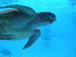 sites/2/2020/11/6791c2f9086b4951cd89eb6907f7917e.jpgの画像