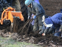 sites/2/2020/11/6916dc6fa6971a17b8a5ef84a6ff6d4e.jpgの画像
