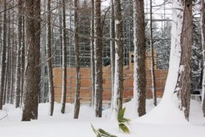 sites/2/2020/11/760d000c292c91887bb6740b12cecc6c-300x200.jpgの画像