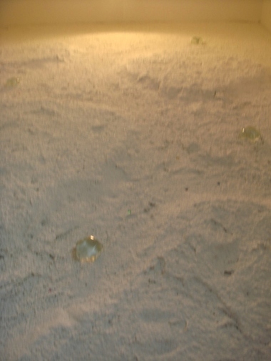 sites/2/2020/11/807da1a500ce2dfd8723e7fdf215e3ed.jpgの画像