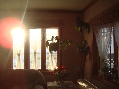 sites/2/2020/11/9d540d54944112d41ccff7591034e1b6.jpgの画像
