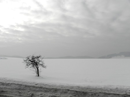 sites/2/2020/11/d6a2d496435d0362a4b701883522a459.jpgの画像