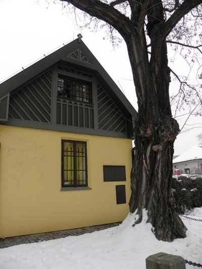 sites/2/2020/11/e02086df8d000455b0ab828f227e09d5.jpgの画像