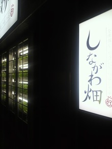sites/2/2020/11/e1cbfe753796ab44d87d7520c961e79a.jpgの画像
