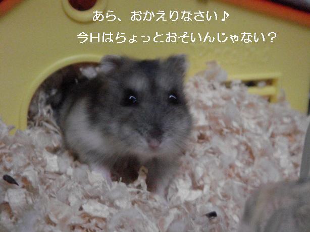 sites/2/2020/11/e303b329ce5edb87d5b3ad83de566889.jpgの画像