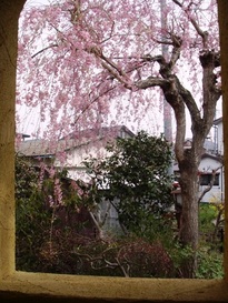 sites/2/2020/11/e47d7864f14ab110601874baa6c8ff4c.jpgの画像