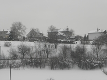 sites/2/2020/11/eea9429b7361929cee1864f0008f4535.jpgの画像