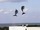 sites/2/2020/11/eed9c2aec1183d701347409ec6f83d76.jpgの画像