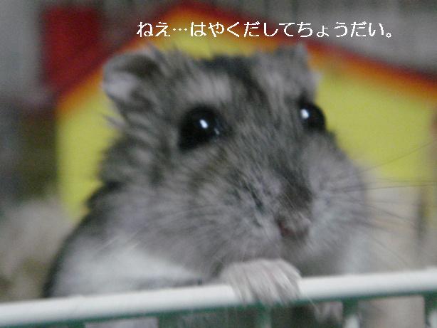 sites/2/2020/11/f0df612771d0b0944deee2e042e20807.jpgの画像
