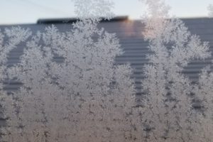 岩手で住宅の窓ガラスに霧氷 (2)の画像