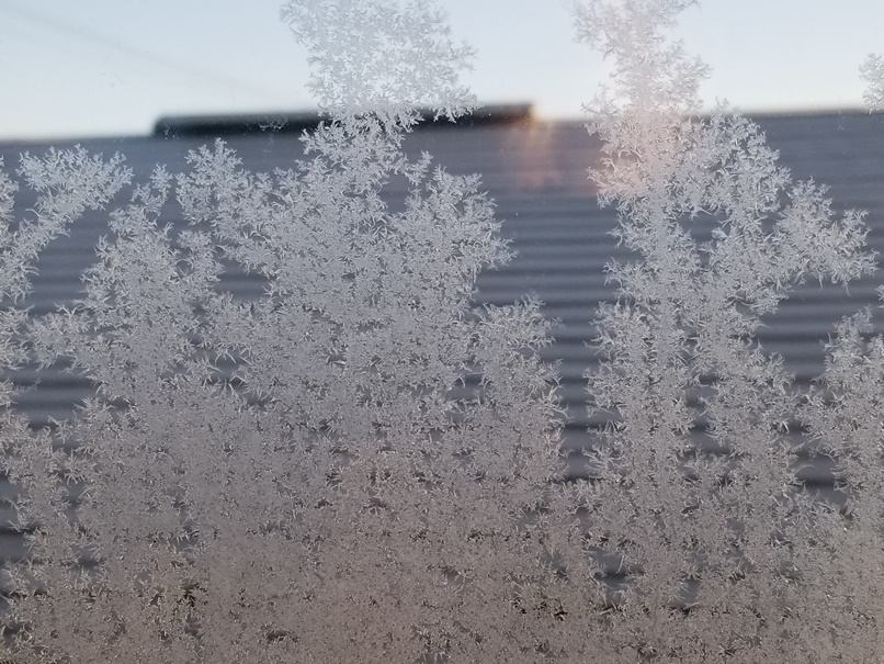 岩手で住宅の窓ガラスに霧氷 (2)の画像