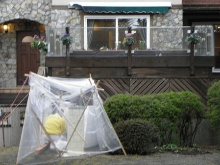 sites/2/2021/01/1f43670c4471f0f9bd6a84085b9bf67f.jpgの画像