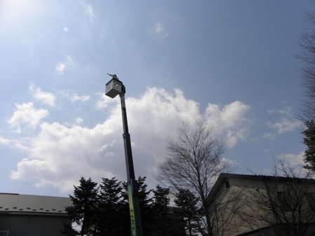 sites/2/2021/01/4315a9f2984d430a8347e367b8834a47.jpgの画像