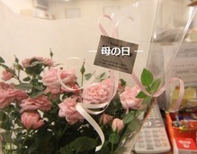 sites/2/2021/01/549164623d9eed5e29d8136d1ac3815d.jpgの画像