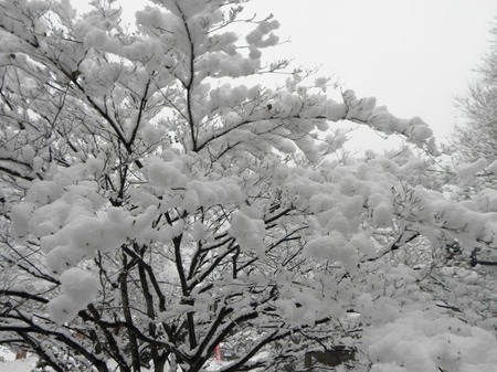 sites/2/2021/01/564f949acaa18b46183616650b92d461.jpgの画像