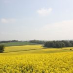 イギリスの視界１の画像