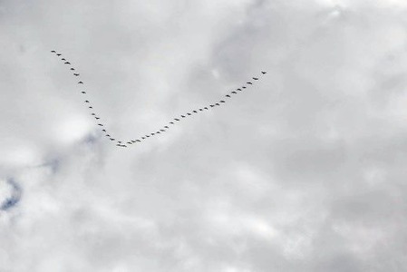 岩手県南で家の建て替えの上棟式1の画像