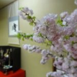 sites/2/2021/01/876aad3d1a1f43e5e3c84ab52ec9f4d5-150x150.jpgの画像