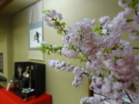 sites/2/2021/01/876aad3d1a1f43e5e3c84ab52ec9f4d5.jpgの画像