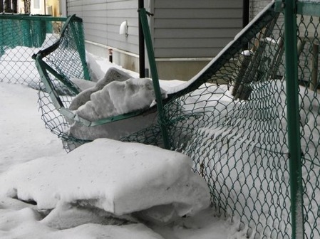 sites/2/2021/01/88176aa79239fafa0908b4822fcbd762.jpgの画像