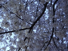 sites/2/2021/01/9a54a1629585af5045b0448705be991c.jpgの画像