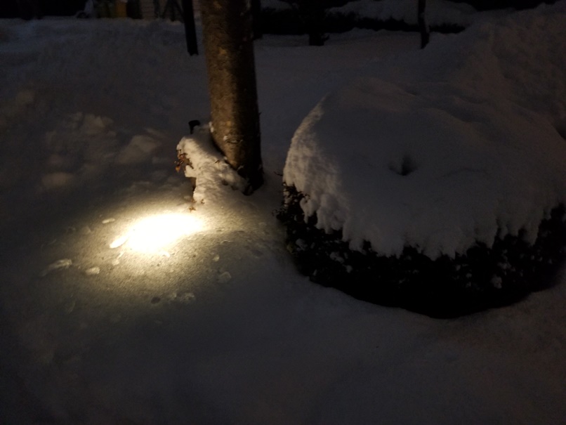 sites/2/2021/01/b3f381e3ad6afce207a745528bbf56ae.jpgの画像