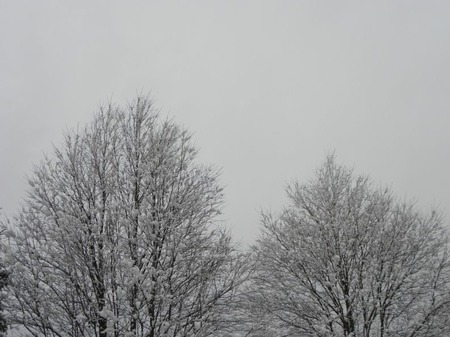 sites/2/2021/01/de5db467f63ddb769c63210b360ad205.jpgの画像