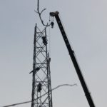 sites/2/2021/01/df6ad13b435e171026c9b07a26313144-150x150.jpgの画像