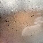 岩手の住宅：建て替え前の結露の画像