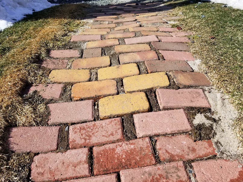 歩道(レンガ）の凍み上がり (1)の画像