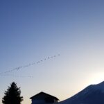 sites/2/2021/03/20210309_170050-150x150.jpgの画像