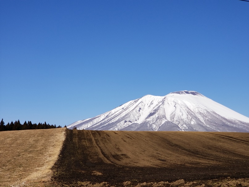sites/2/2021/03/5363f2b793549da618d3ad3debeddeca.jpgの画像