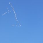 sites/2/2021/03/a09b526c82007f0257ed674db7822f17-150x150.jpgの画像